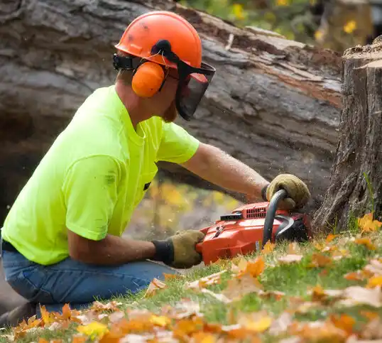 tree services Kinde